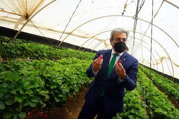 El vicepresidente del Gobierno de Canarias visita el municipio de Valsequillo/Acfi Press.